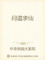 问道求仙封面