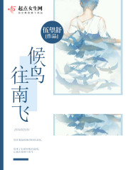 候鸟往南飞封面