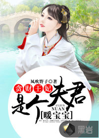 贪财王妃:夫君是个暖宝宝封面