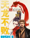 天龙不败封面