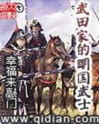 武田家的明国武士封面