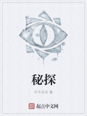 秘探封面
