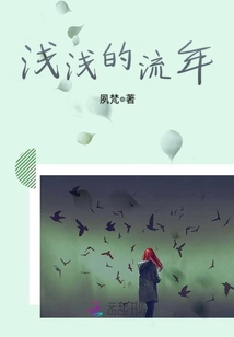 浅浅的流年封面
