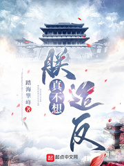 朕真不想造反封面