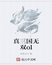 真三国无双ol封面