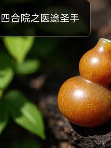 四合院之医途圣手封面