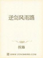 逆剑风雨路封面