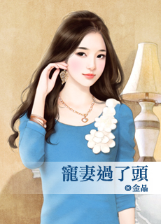宠妻过了头封面