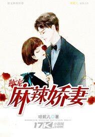 独宠麻辣娇妻封面