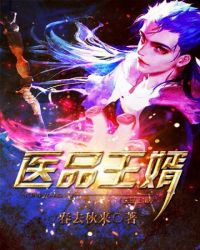 医品王婿封面