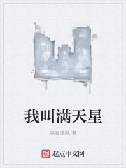 我叫满天星封面