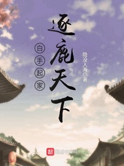 白手起家逐鹿天下封面