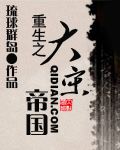 魂销大明封面
