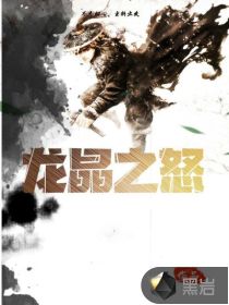 龙晶之怒封面
