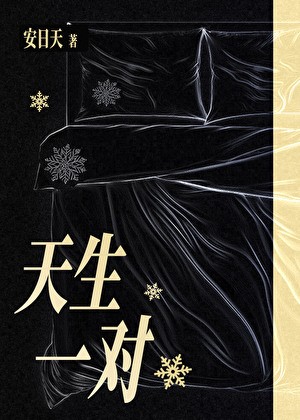 天生一对封面