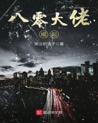 八零大佬崛起封面
