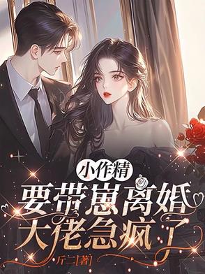 小作精要带崽离婚，大佬急疯了封面