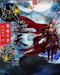 战逆天穹封面