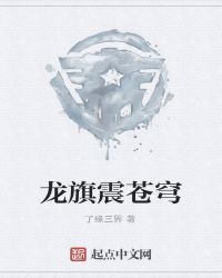 龙旗震苍穹封面