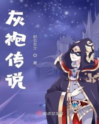 灰袍传说封面