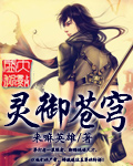 灵御苍穹封面