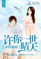 深情独霸:许你一世晴天封面