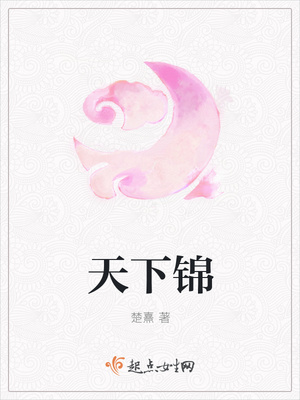 天下锦封面