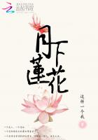 月下莲花封面