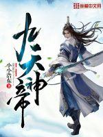 九天神帝封面