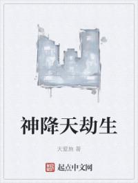 神降天劫生封面