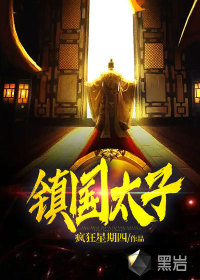 镇国太子封面