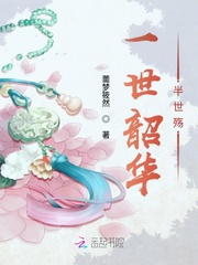 一世韶华半世殇封面