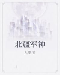 北疆军神封面