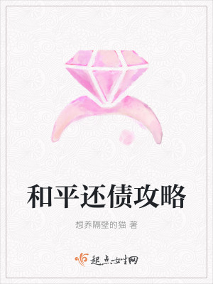 和平还债攻略封面