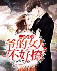 二婚新妻：爷的女人不好撩封面