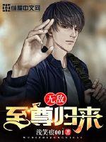 无敌至尊归来封面