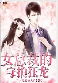 女总裁的守护狂龙封面