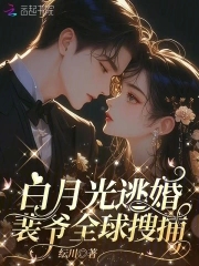 白月光逃婚,裴爷全球搜捕封面