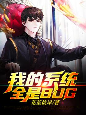 我的系统全是BUG封面
