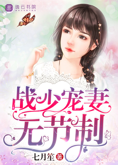 战少宠妻无节制封面