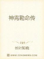 神霄勘命传封面
