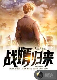战婿归来封面