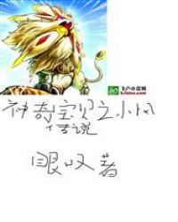 神奇宝贝之小风传说封面