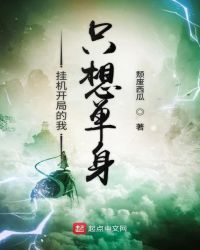 挂机开局的我只想单身封面