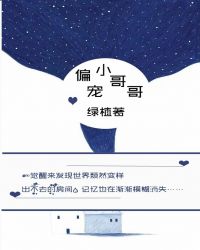 偏宠小哥哥（快穿）封面