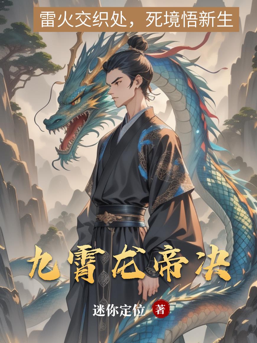 九霄龙帝决封面