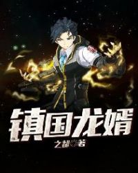 镇国龙婿封面