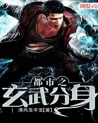 都市之玄武分身封面