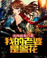 我的老婆是警花2封面