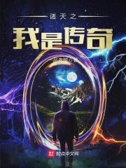 诸天之我是传奇封面